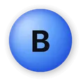 Bingo Multiplayer App Icon